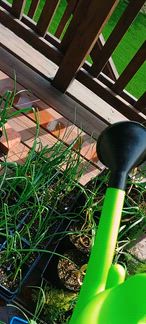 A very decent gentle flow compared to most watering cans I have owned. The holes are very small which is nice yet still provides plenty of water in a short time.