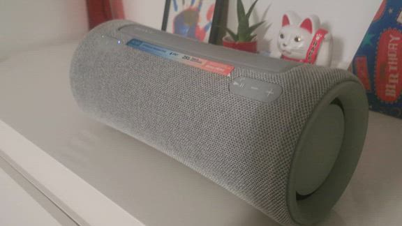 SONY SRS-XG300 Black