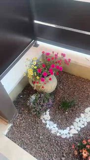 Vidéo