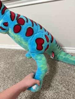 Video from EmilyL5