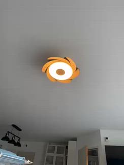 Vidéo