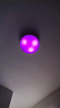 Vidéo