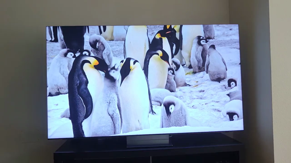98" Neo QLED TQN990F 8K Samsung Vision AI Smart TV Nero