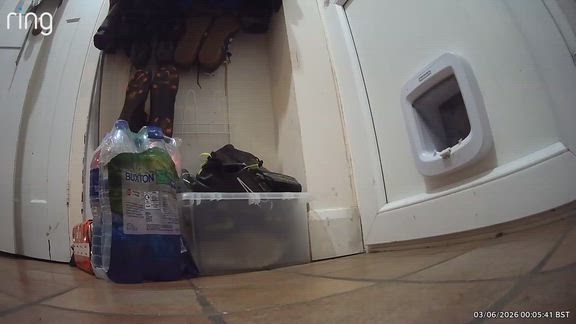 I can only upload one video but have others where this cat (not mine!) is not disturbed in the act and climbs inside.
