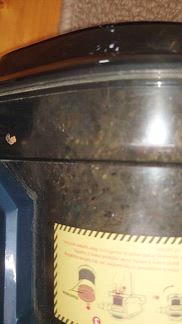 Day after the fogger, and they're still alive